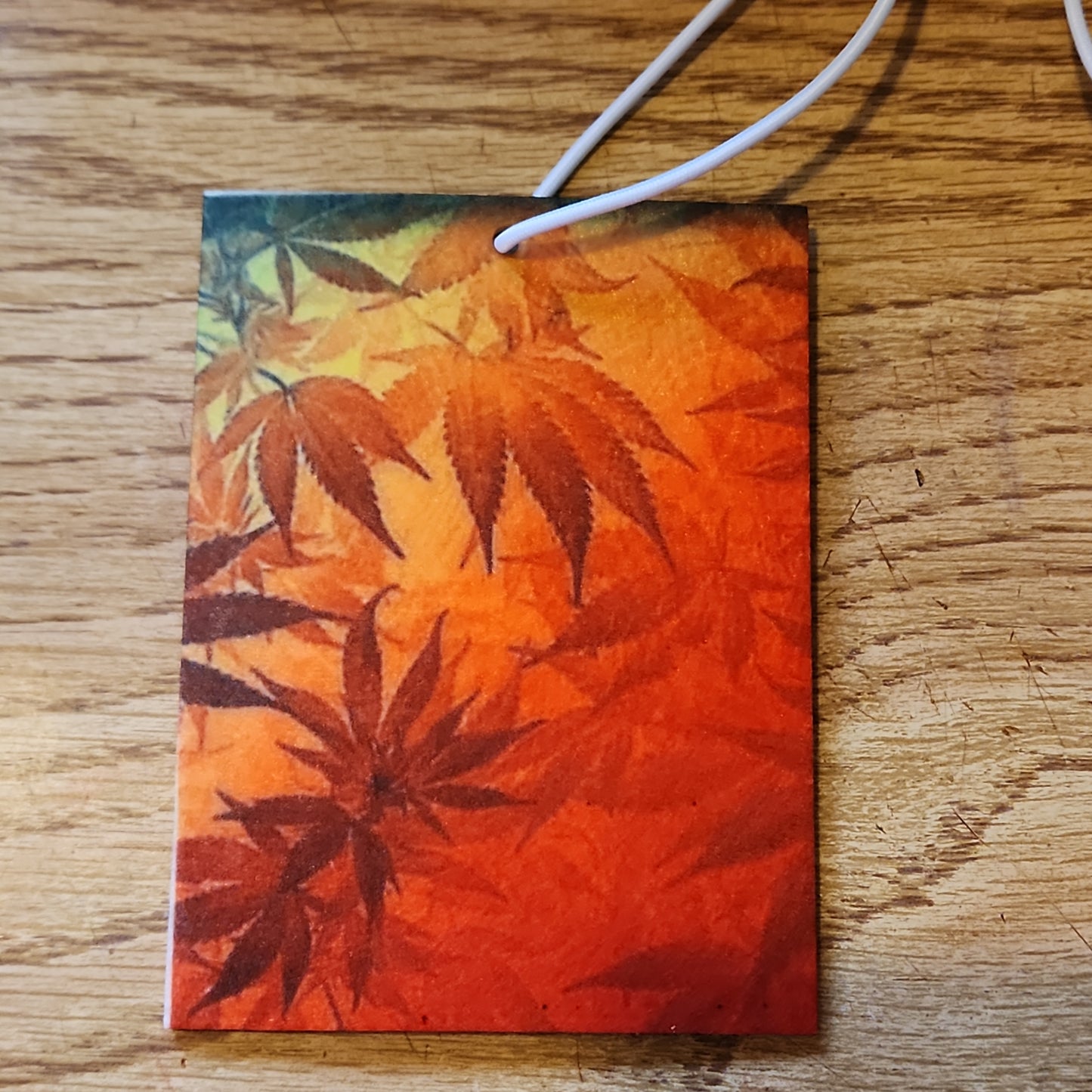 1 (back)