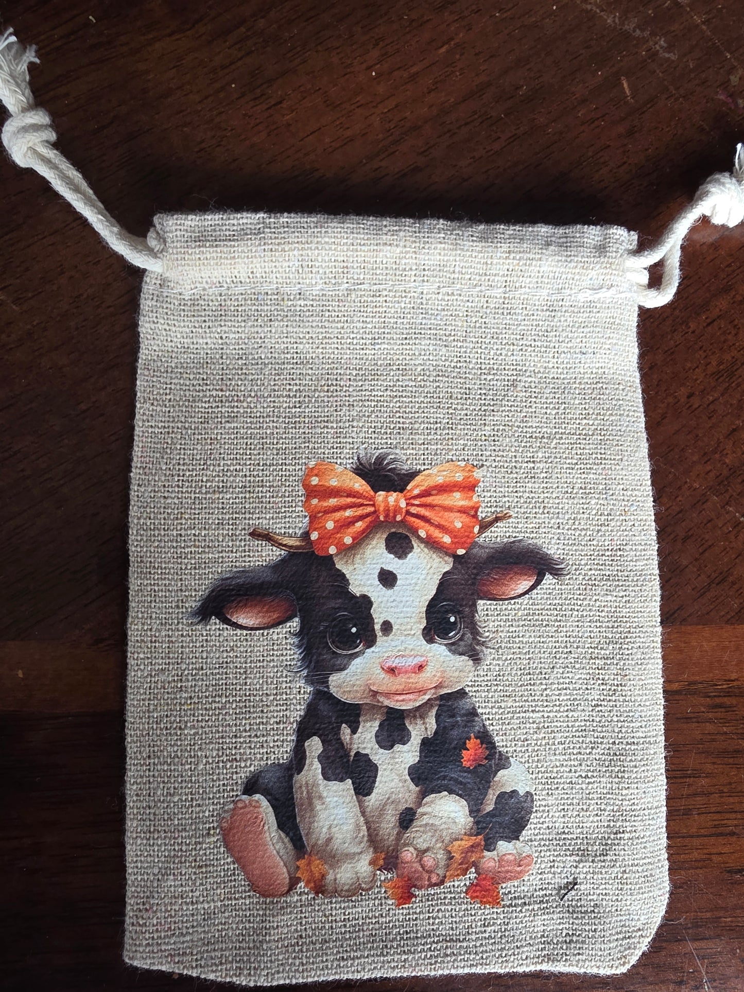 Drawstring Baggie